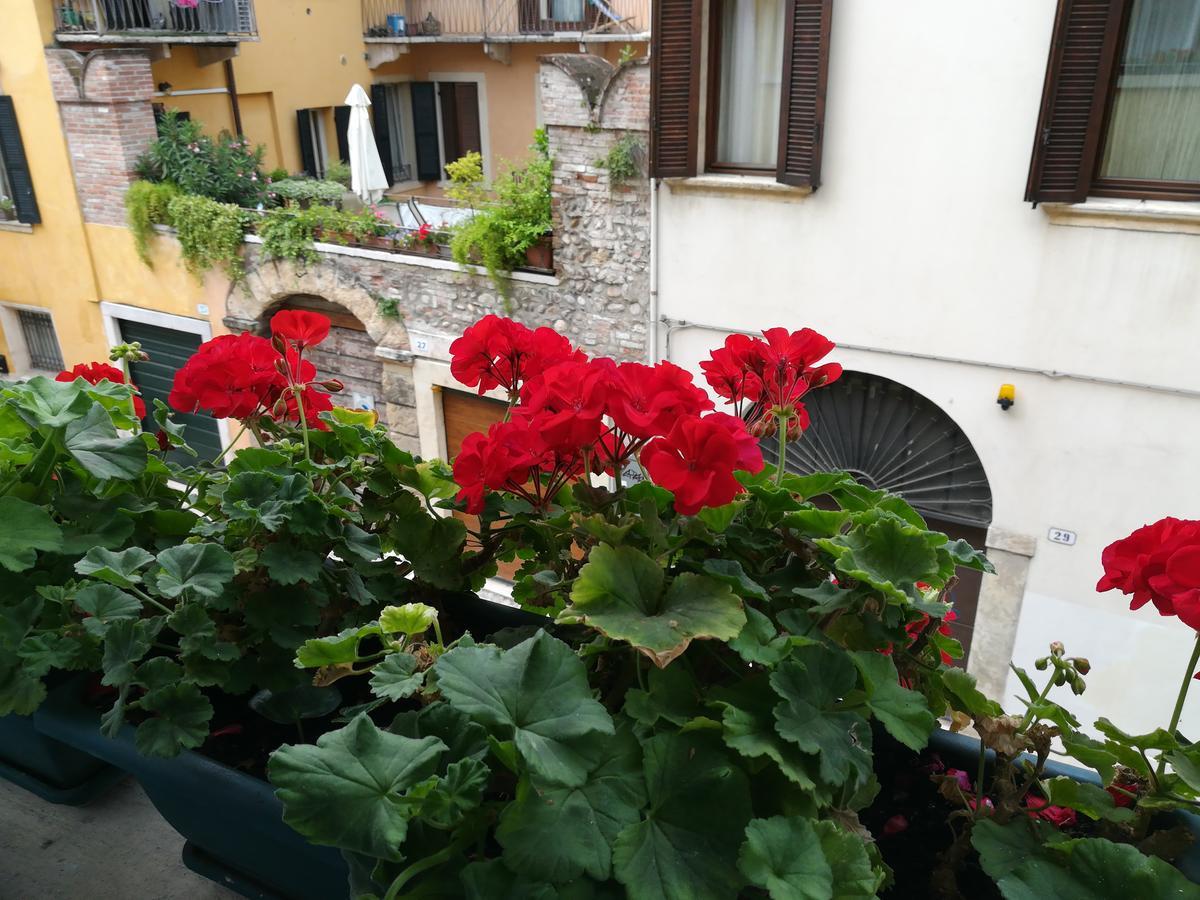 A Casa Di Luca — Photos 1